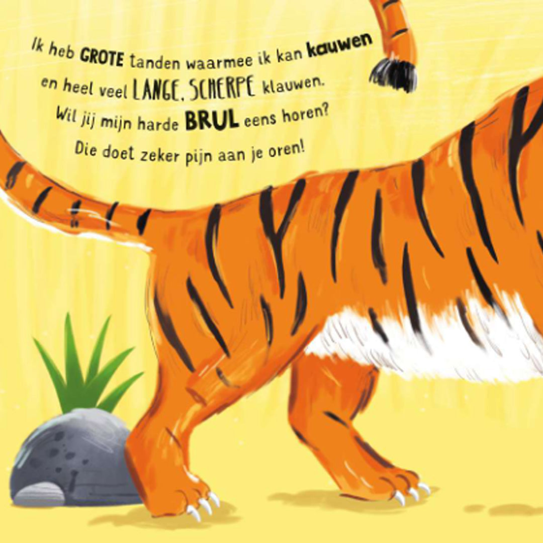 uitgeverij usborne geluidenboek wat een lawaai in de dierentuin!