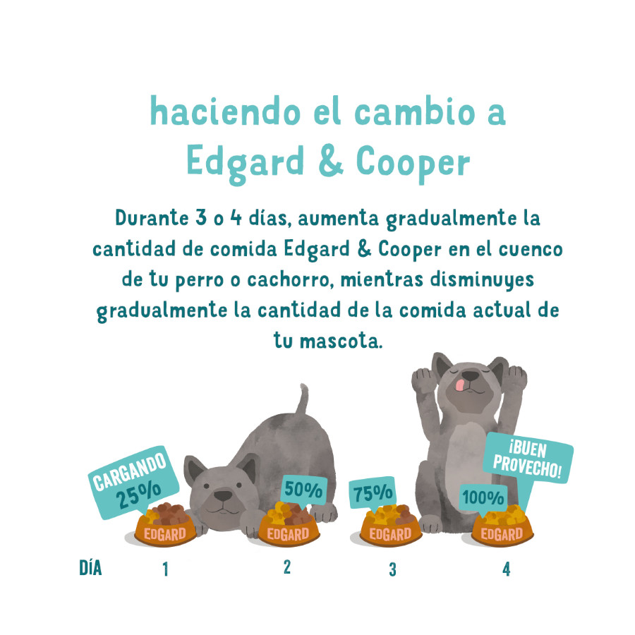 Ração para cães Edgard & Cooper sabor salmão e peru (em pote)