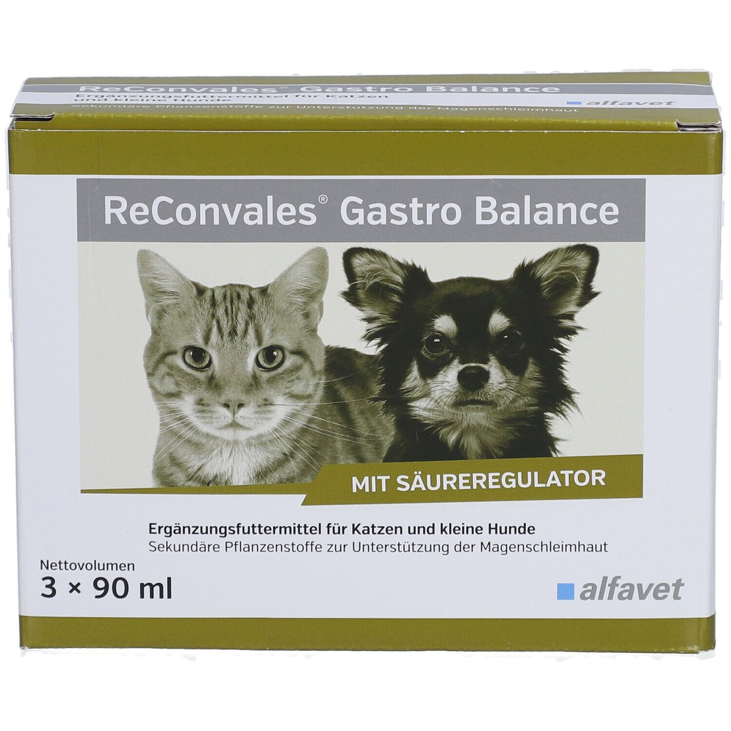 ReConvales®Gastro Balance