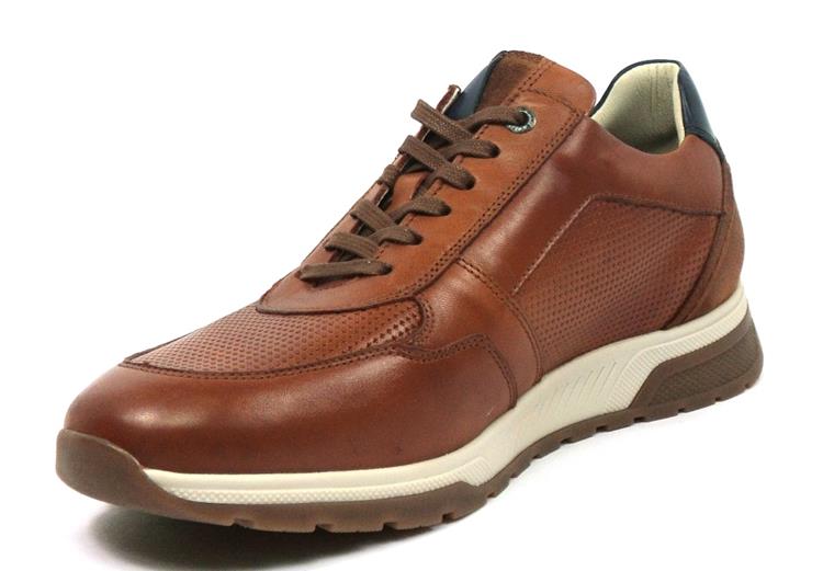 Fluchos F1752 habana cuero com