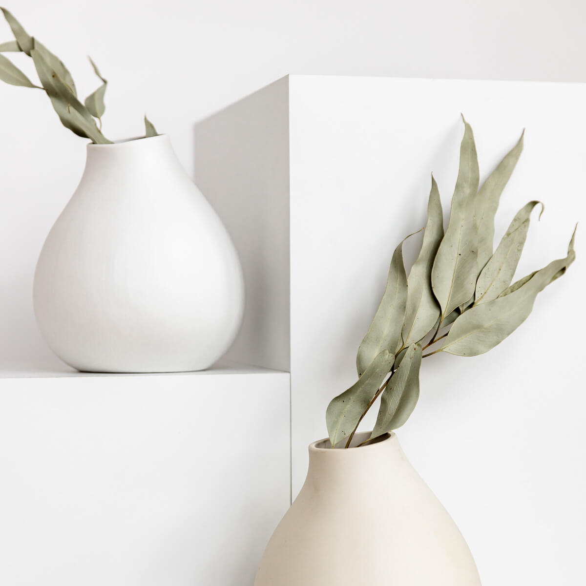 Veelzijdige klassieker: gedroogde eucalyptus