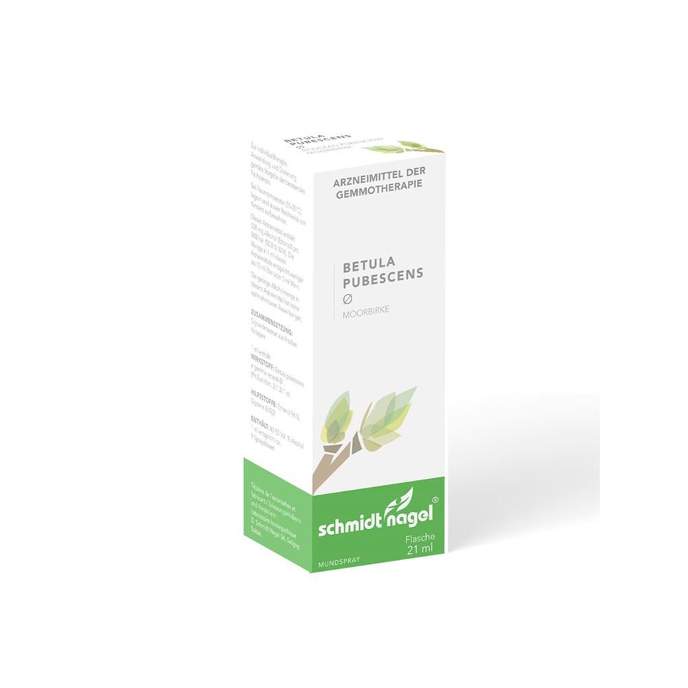 SCHMIDT-NAGEL Betula pubescens<br>21 ml, Flasche, Glycerinmazerat, TM