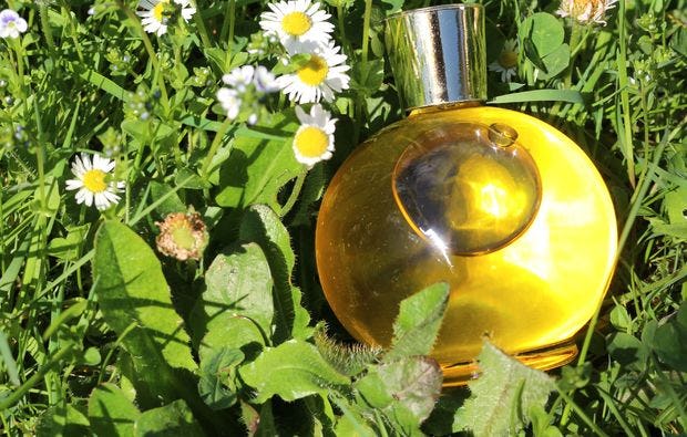Naturkosmetik selber herstellen in Pliezhausen als Geschenk