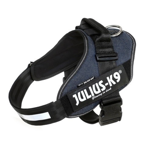 Coleira Julius K9 na cor jeans