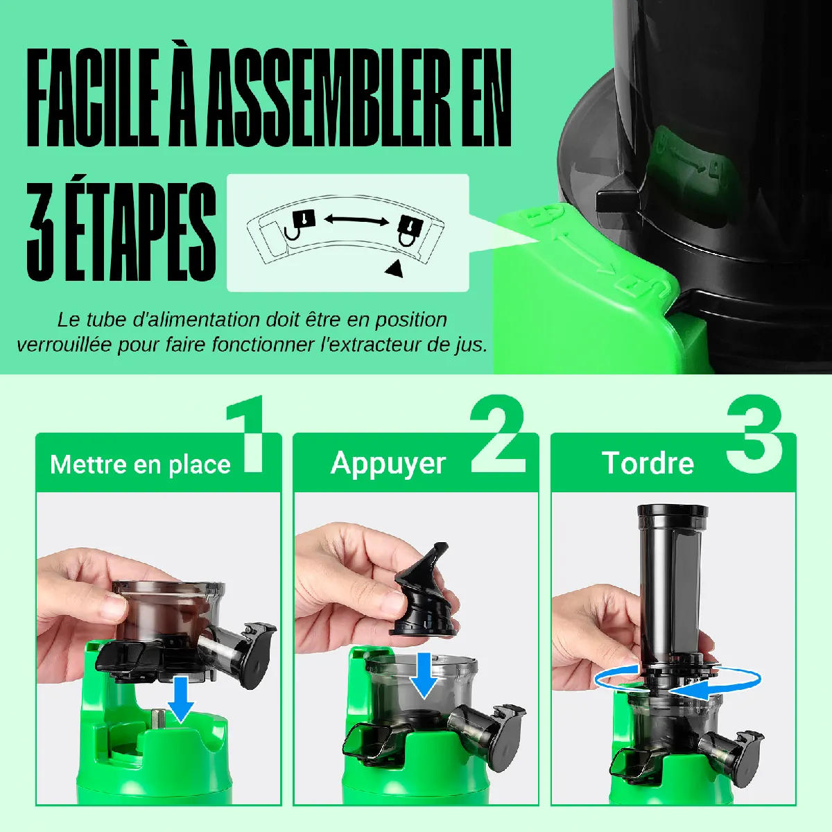 Ventray Essential Ginnie Vert Perroquet