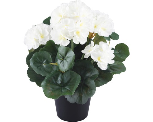 Kunstgeranium Lafiora in pot, 25 cm hoog, wit