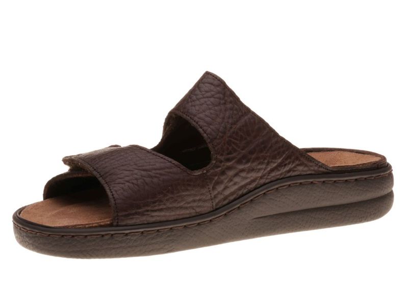 Mephisto James Bruin