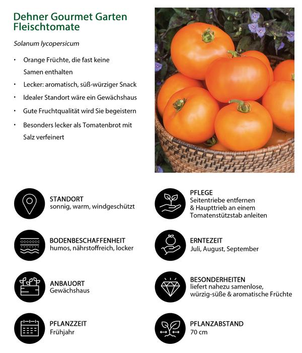 Dehner Gourmet Garten Fleischtomate, orange