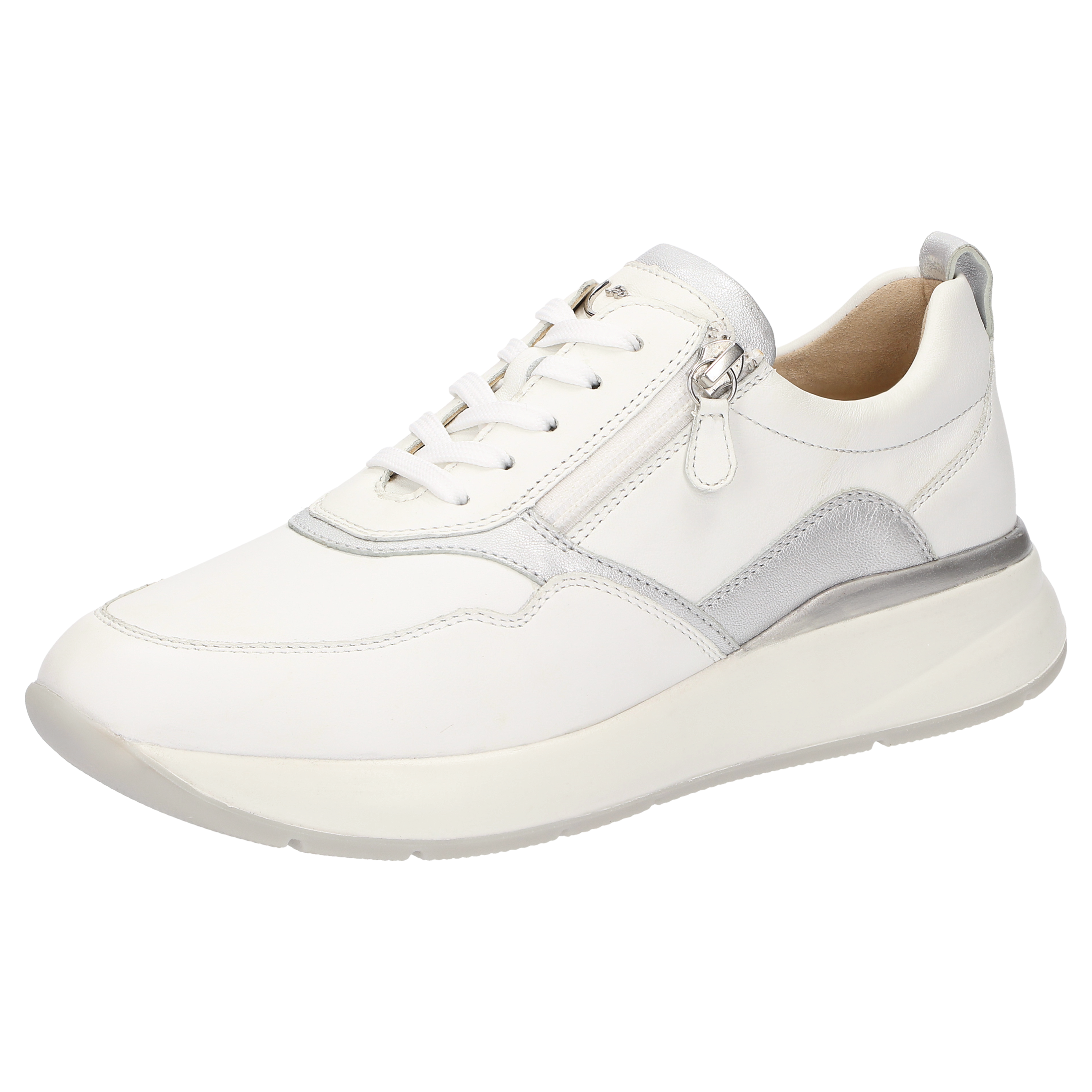 Segolia-705-J