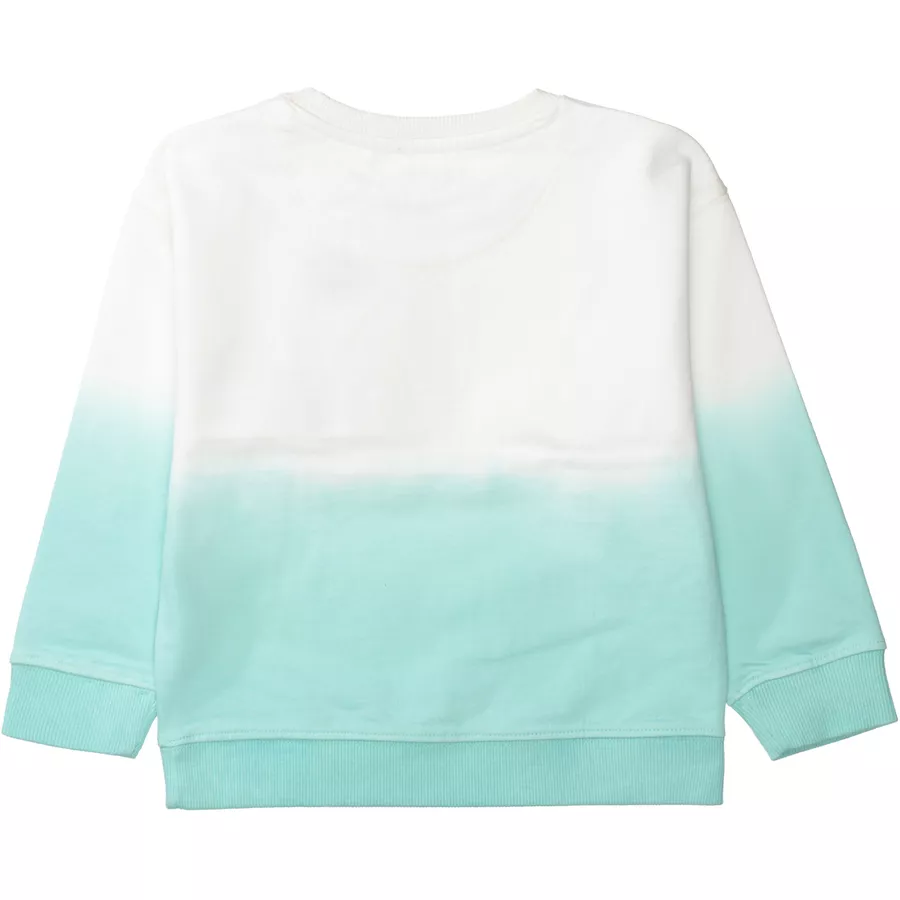 STACCATO Sweatshirt mint dip eye