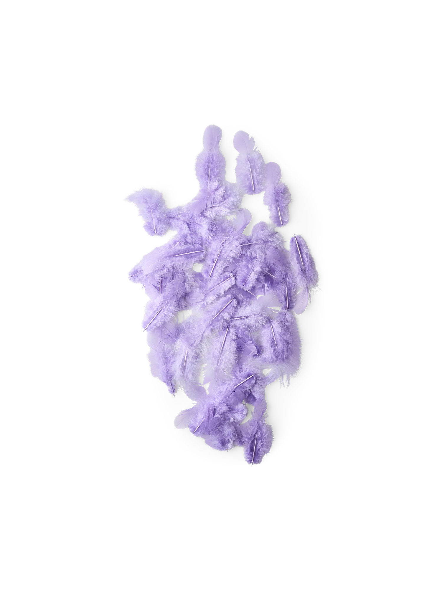 Fjer | Høne. 5 g. | White