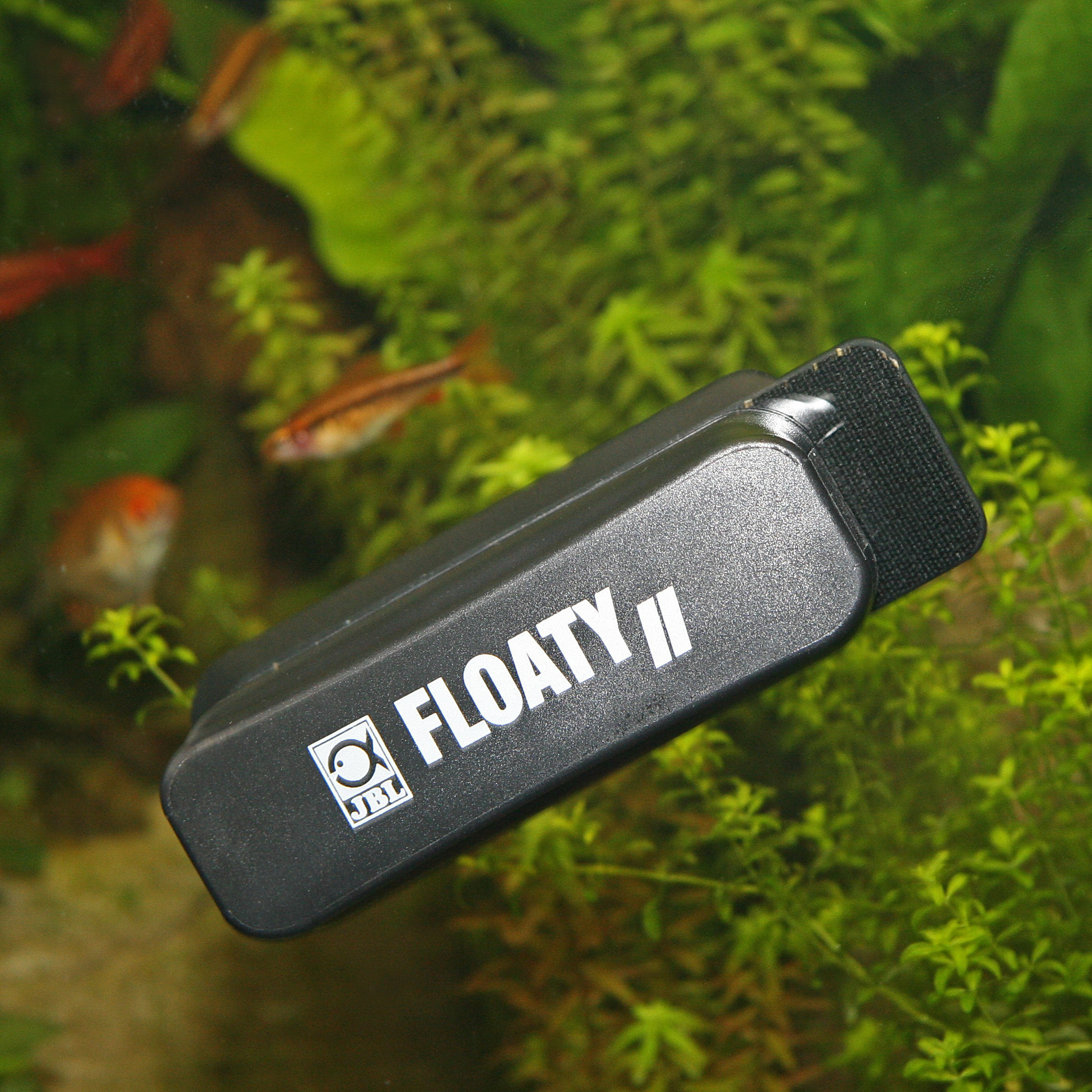 JBL Floaty II Large