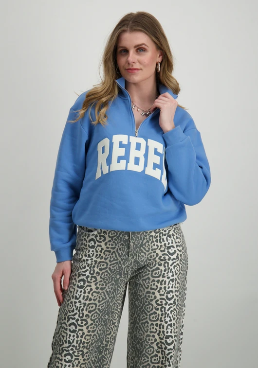 Colourful Rebel Sweater zip WS416849