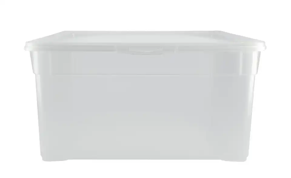 Rotho Aufbewahrungsbox mit Deckel 40 cm