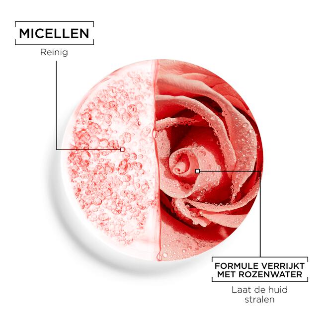 Garnier SkinActive Micellair Reinigingswater met Rozenwater 400 ML