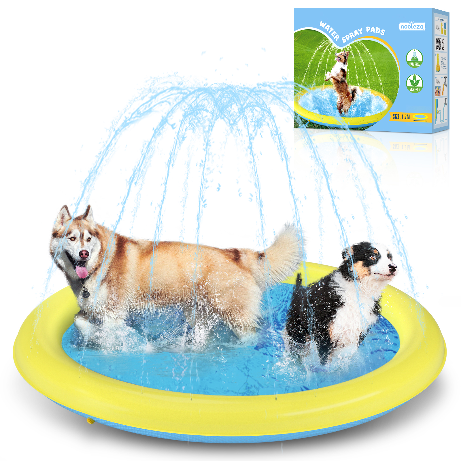 Piscina Nobleza para Cães de Grande Porte