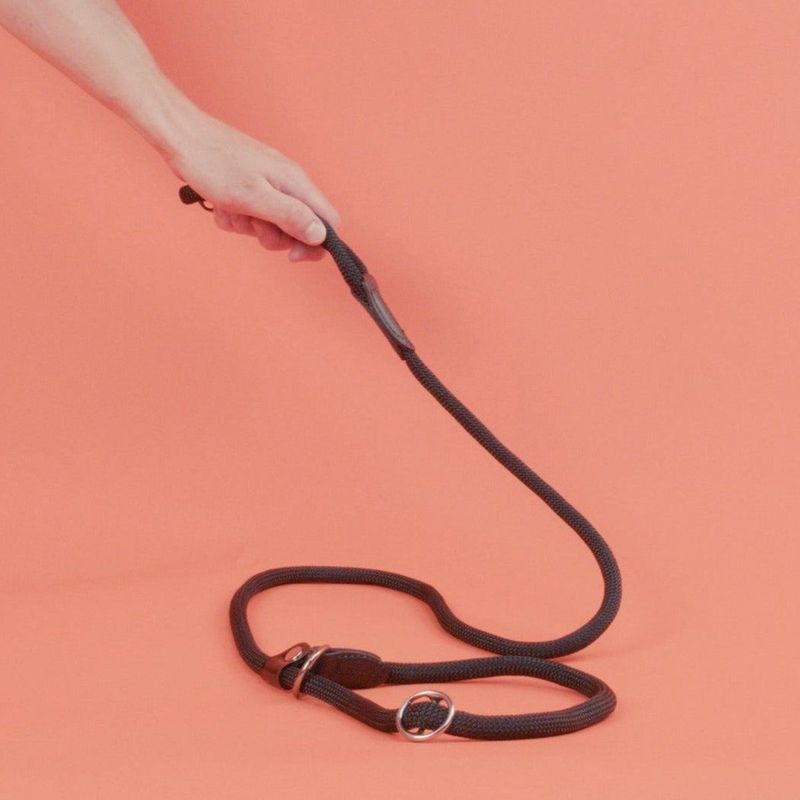 Hunter Retrieverlijn met Stop Freestyle - Zwart - 10 mm x 170 cm