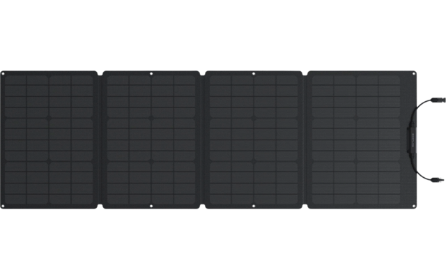 EcoFlow Tragbares Solarpanel 110 W