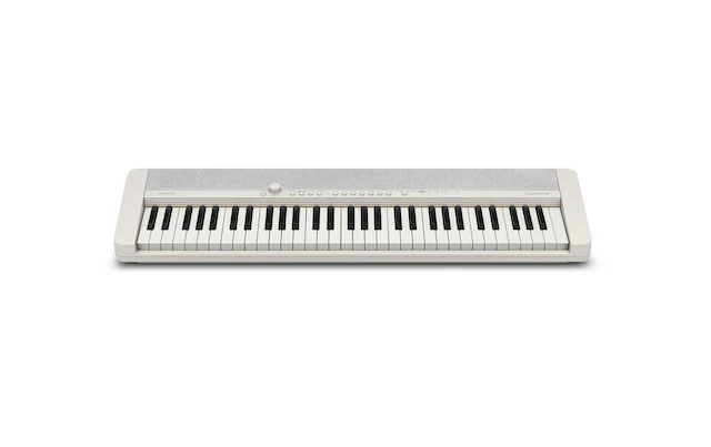 CASIO »CT-S1WE«
