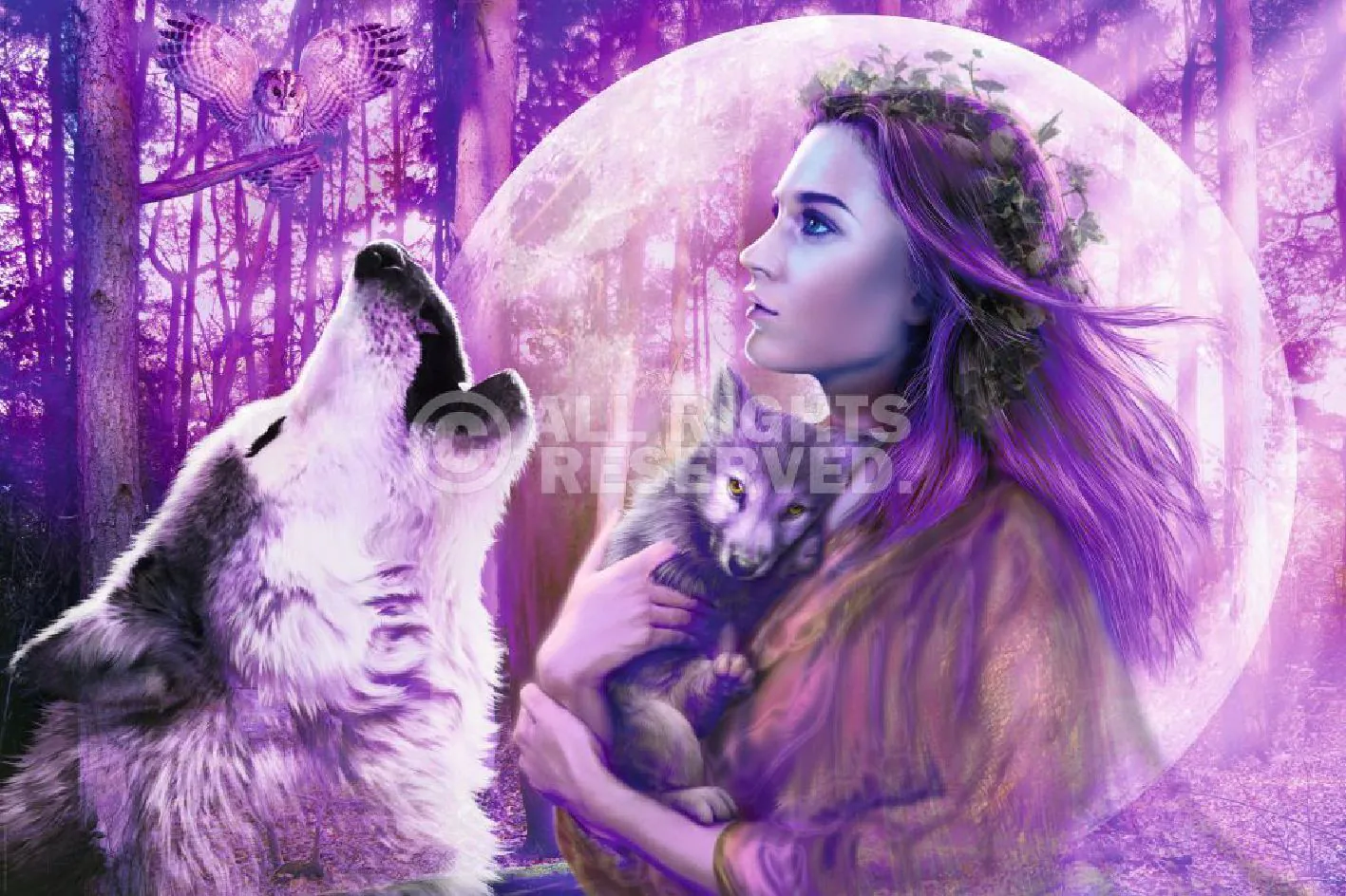 Poster Harvest Moon, 61 x 91 cm