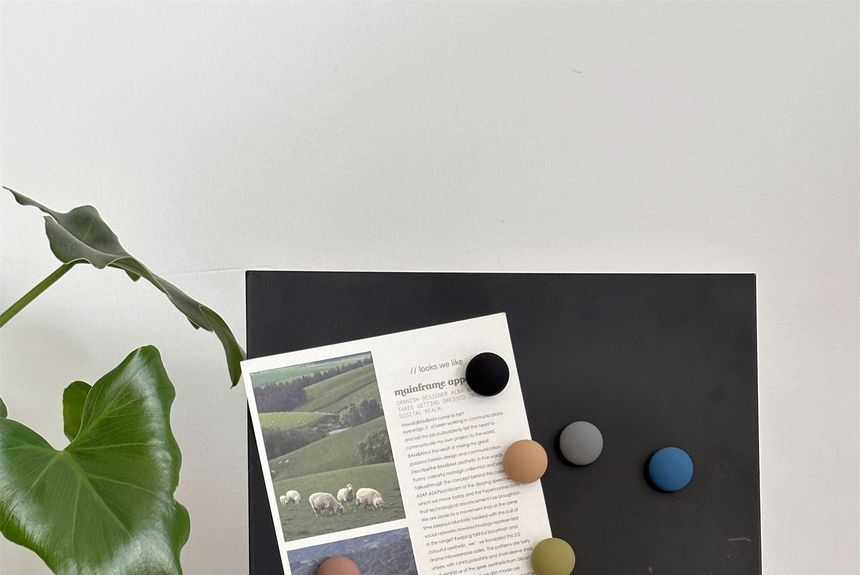 Indus - Matte cirkel koelkastmagneet (verschillende ontwerpen) / set