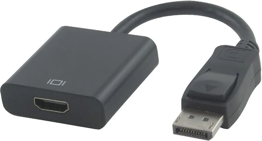Adaptateur SVD Pro DisplayPort mâle / HDMI femelle, longueur 0,15 m Adaptateurs vidéo