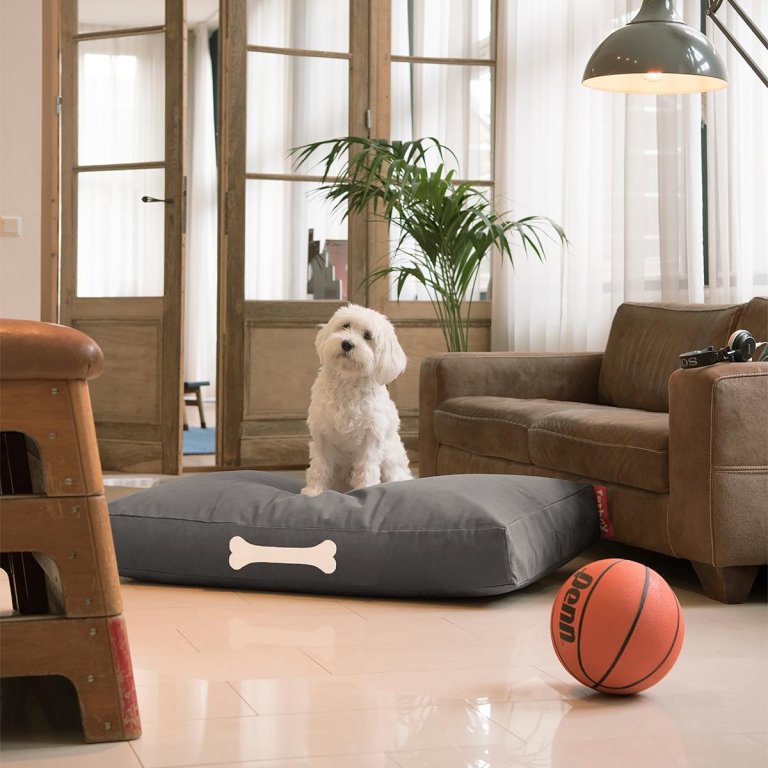 Fatboy Doggielounge S Canvas Recycled Black Licorice