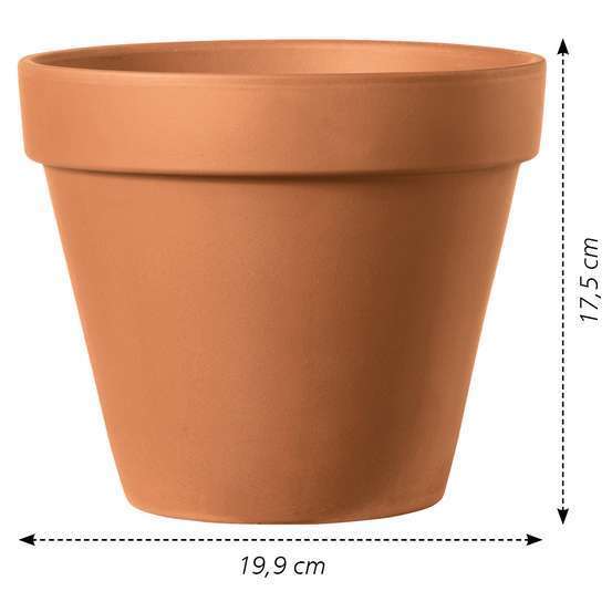 Vase Brut Cotto en terre cuite H.17,5 x D.19,9cm
