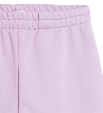 Grunt Shorts - Heise - Lila