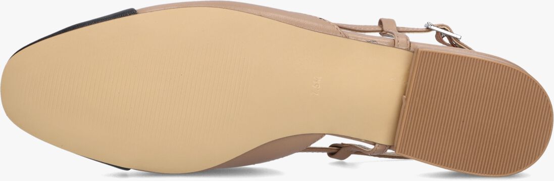 STEVE MADDEN bruine steve madden  belinda