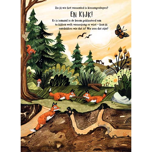 Uitgeverij christofoor zoekboek het geheime bos