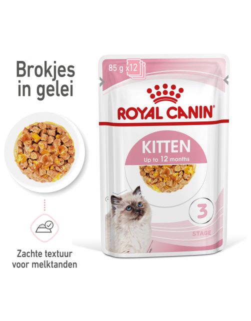 Royal Canin Kitten In Jelly - Kitten-Kattenvoer - 85 g Natvoer