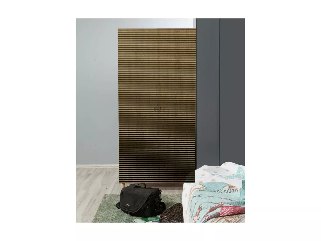 Garde-robe 2 portes Dfrollan, Meubles de chambre, Penderie de plain-pied, Placard à vêtements, 90x52h192 cm, Chêne