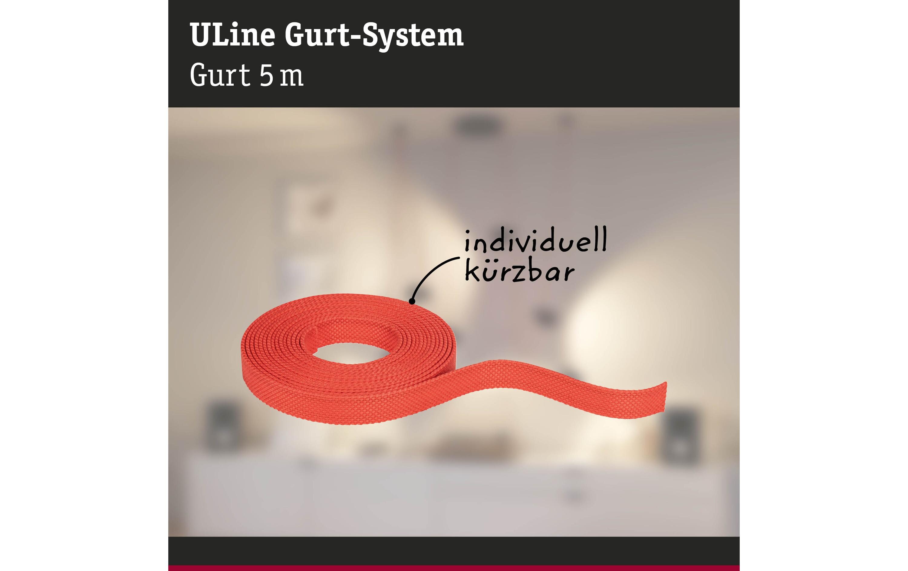 ULine Gurt 5 m, Dacron, OrangeGurt-System als eine innovative Lösung für einzigartige Lichterlebnisse