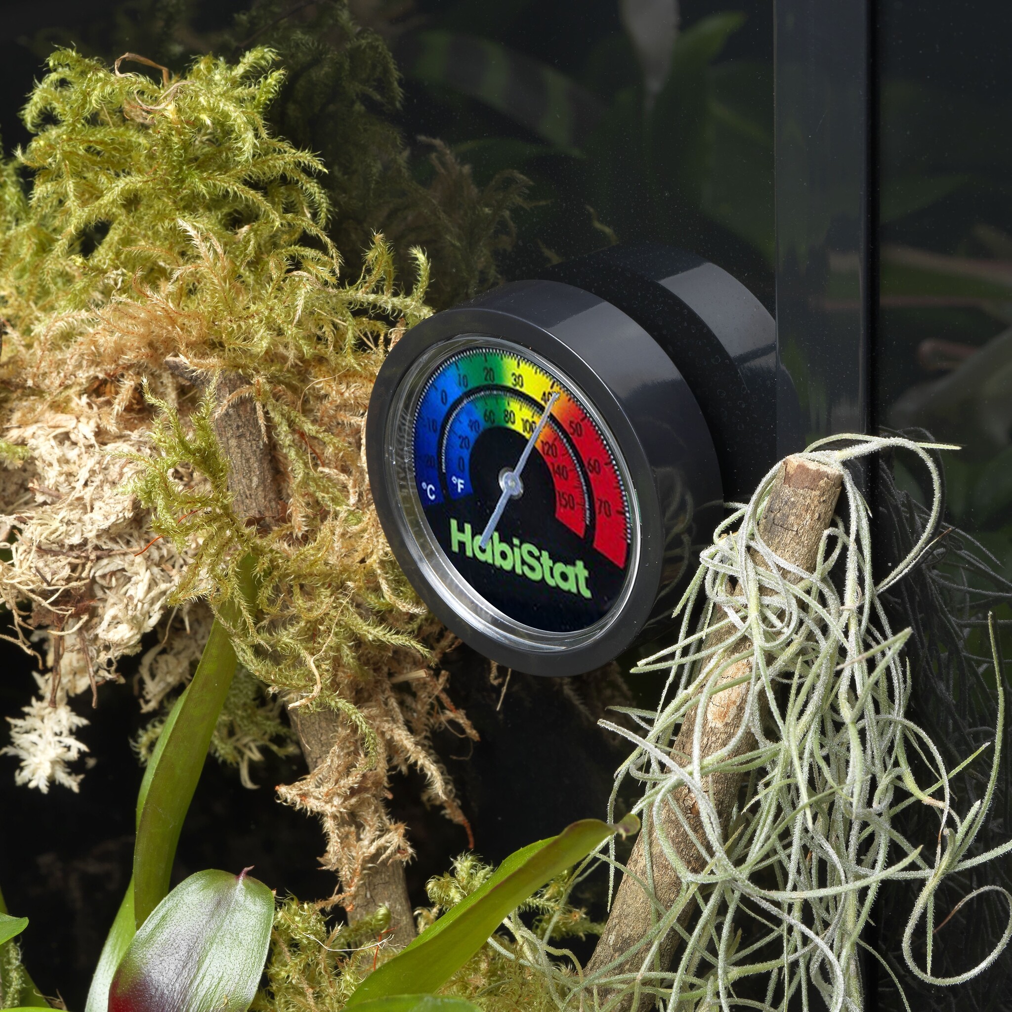 Habistat Analoge Terrarium Thermometer
