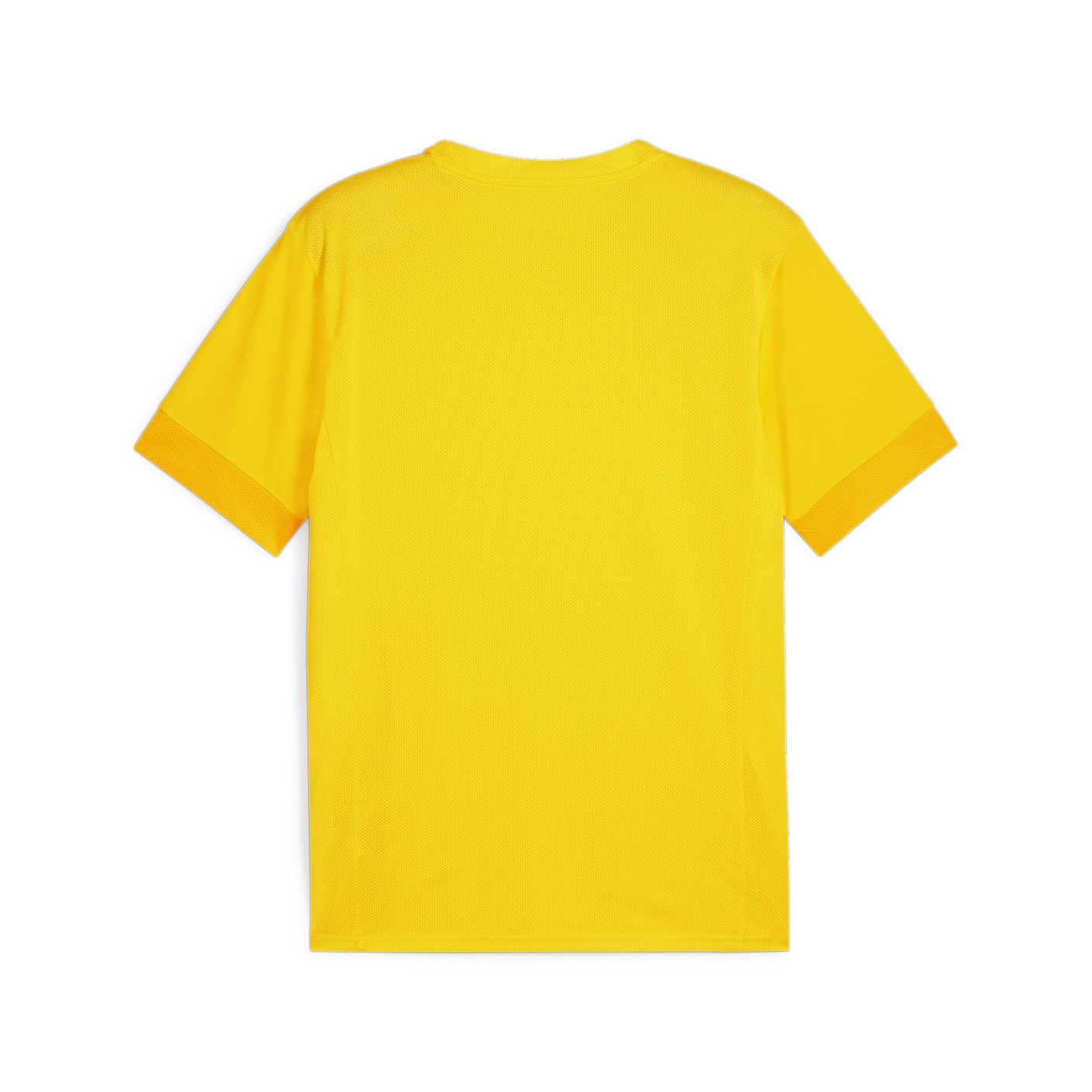 PUMA teamGOAL Matchday Voetbaltenue Geel Zwart