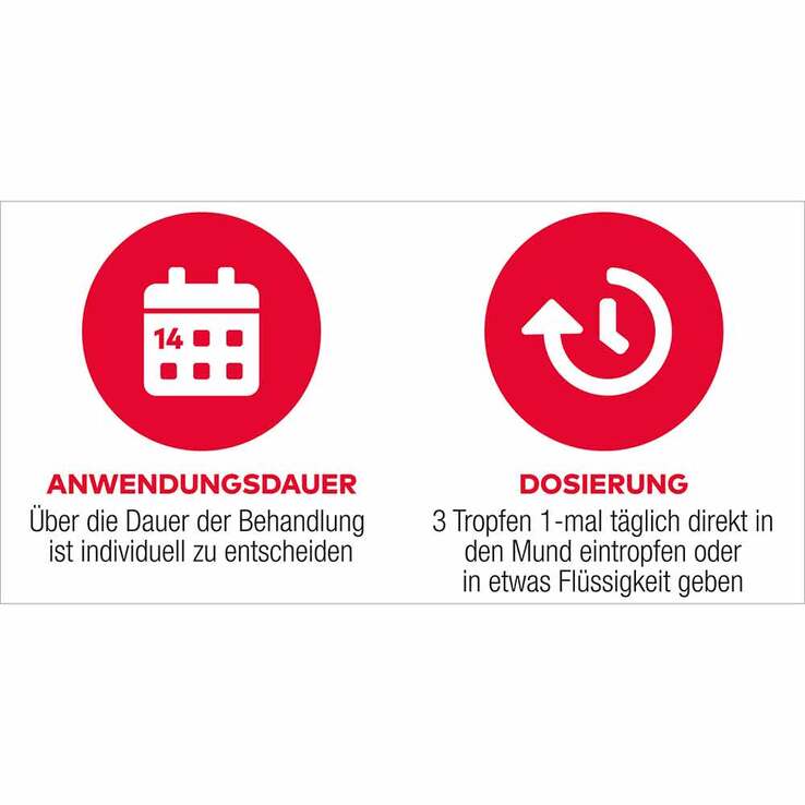 D3 + K2 Vit AL 1000 I.E. / 50 µg Tropfen, 11.5 ml