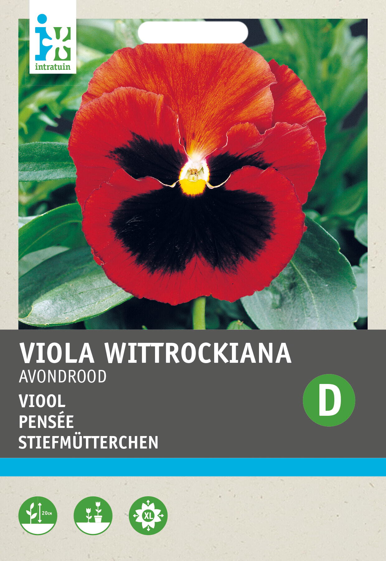 Intratuin bloemenzaad Viooltje (Viola wittrockiana 'Avondrood')