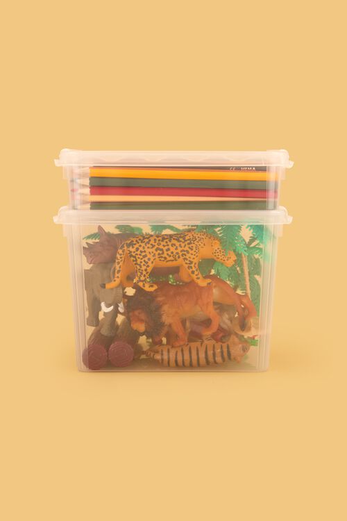 boîte de rangement 21x17x6 Amsterdam transparent