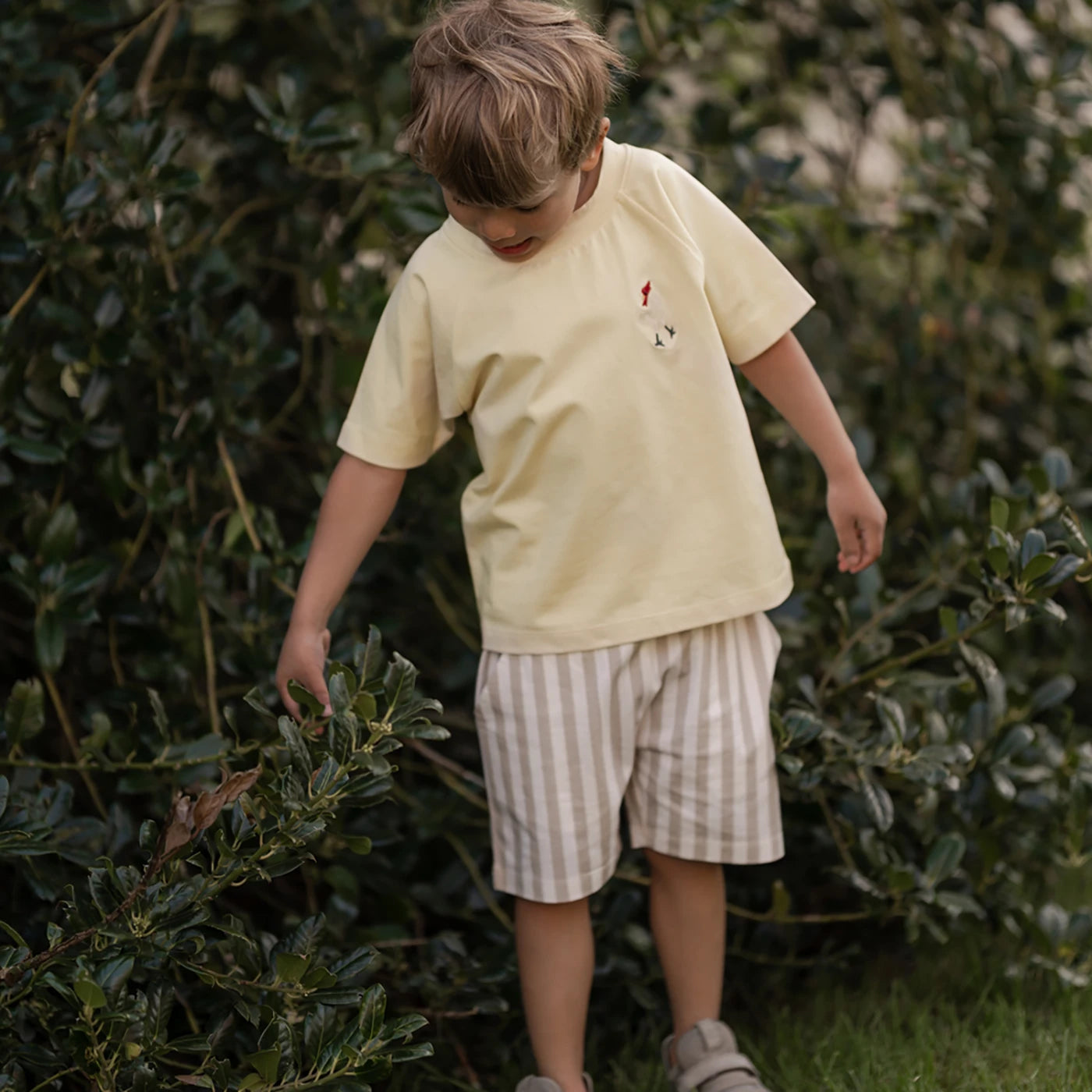 Summer t-shirt