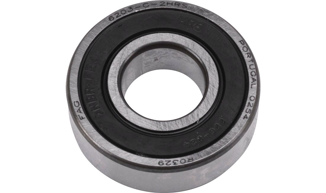 Leje 6203-2RS1, FAG