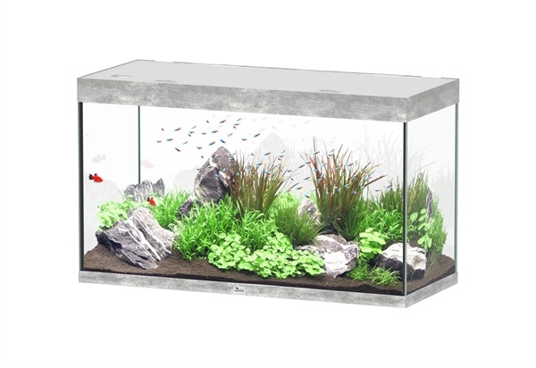 Aquatlantis Sublime 120x50 aquarium | Gloednieuw