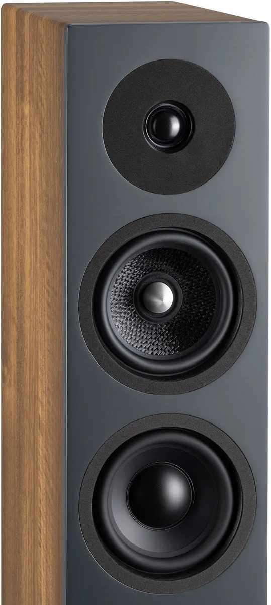Davis Acoustics Krypton 6 Noyer (la paire) Enceintes colonne