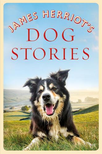 James Herriot's Dog Stories (Paperback)