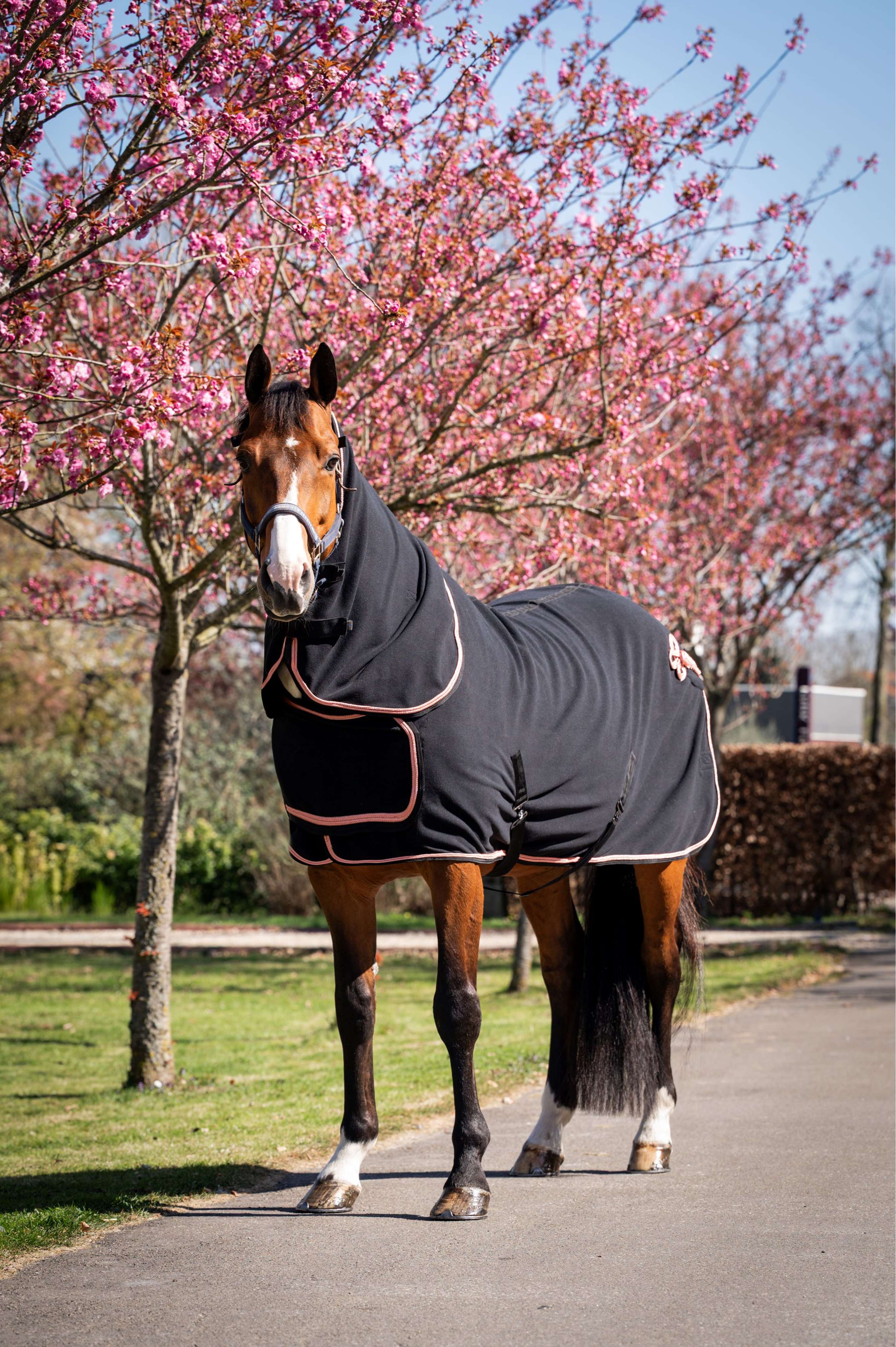 HB Showdeken Showtime Rose Gold met Hals Zwart