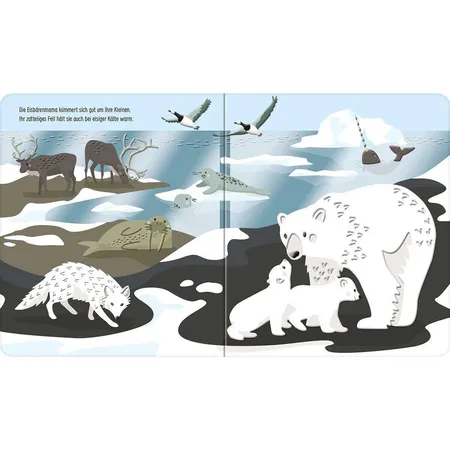 Ravensburger Edition Piepmatz: Tierisch viele Tiere