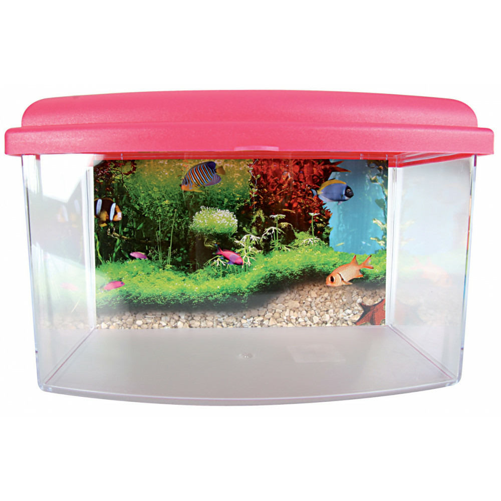 Aqua travel box ii, small, taille 22 x 16 x h 14 cm pour poisson couleur al