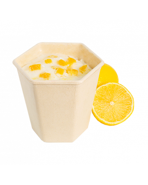 Sorbet Citron & Citron Confit Grand Format | La Glace Alain Ducasse 500 ml