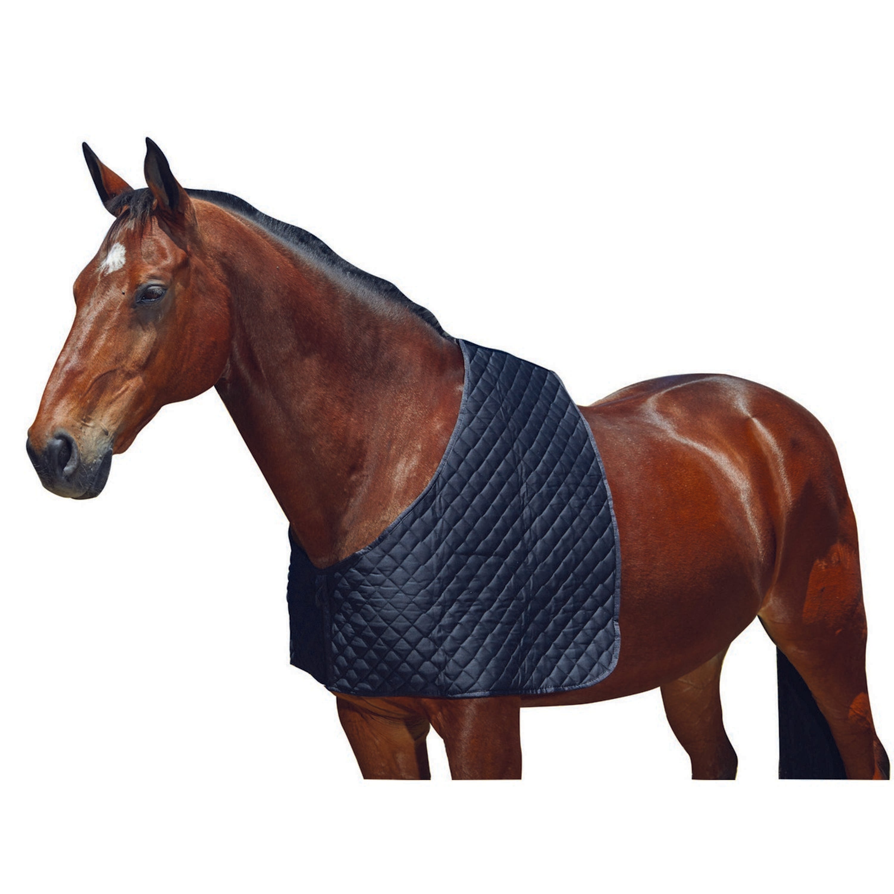 WeatherBeeta Shoulder Guard Deluxe Black