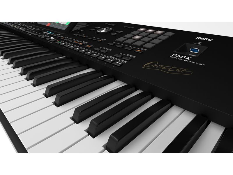 Korg Keyboard Pa5X 76 Oriental Keyboard mit 76 Tasten aus der Arranger-Serie